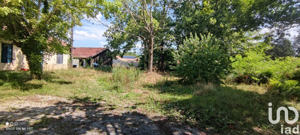 Terrain à vendre 3 621 m² Cestas