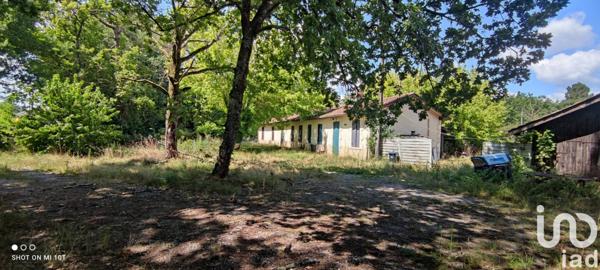 Terrain à vendre 3 621 m² Cestas