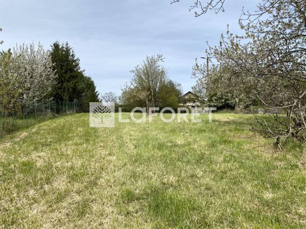 Achat terrain près de COUSANCE - 1323 m² - 25 000 €