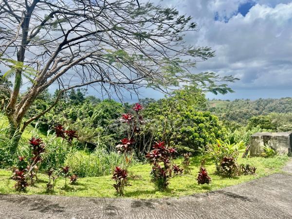 Immeuble de rapport à vendre SCHOELCHER (97233)
