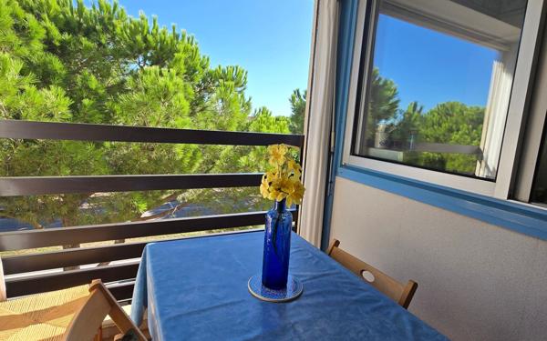 Appartement à vendre    1 pièce • 25,37 m2 Saint-Cyprien