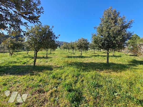 LA BATIE ROLLAND, ferme de 168m² habitable avec grange, jardin et chênes truffier.