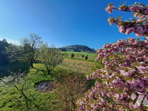 LA BATIE ROLLAND, ferme de 168m² habitable avec grange, jardin et chênes truffier.