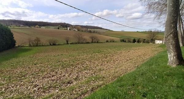 Terrain Lauzerte : +-4000 m2, constructible, campagne