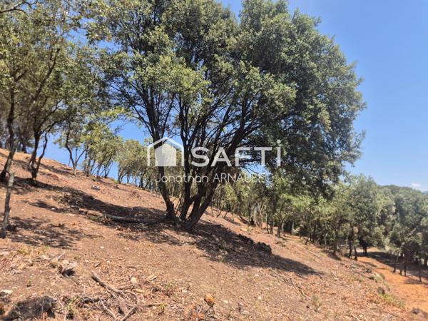 Terrains constructibles à Peyruis 536 m2– Vue dégagée et multiples possibilités de construction