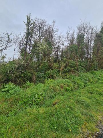 Terrain à vendre CROZON (29)