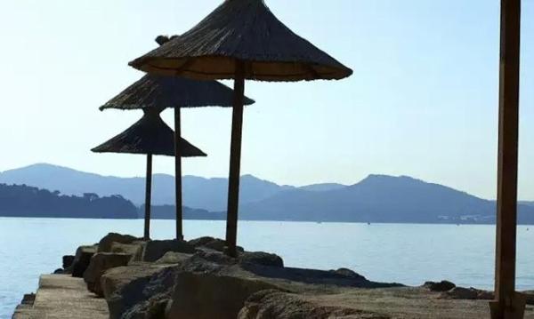 Studio rénové avec jardin et place de parking