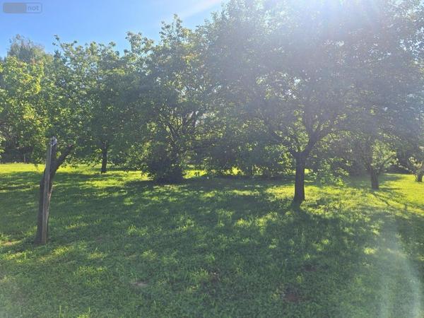 Terrain à Batir à vendre à Savigné-l'Évêque dans la Sarthe (72460), ref : 013-2057