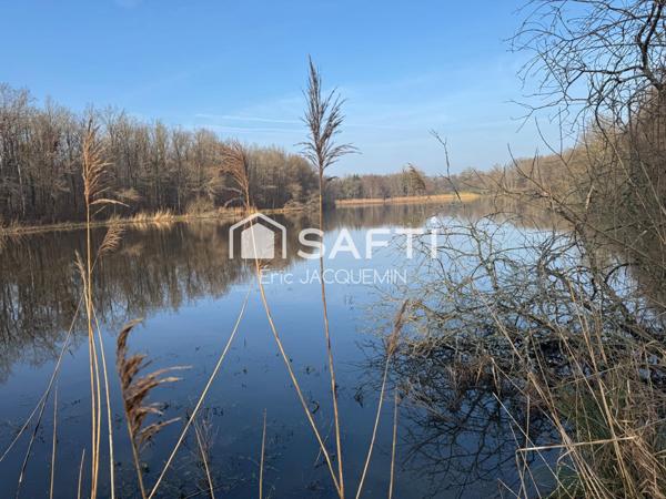 Secteur Clermont-en-Argonne, étangs sur 8 hectares