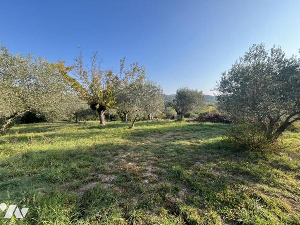 Adorable maison en pierres rénovée avec dépendance et superbe terrain