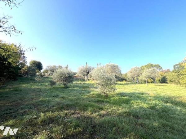 Adorable maison en pierres rénovée avec dépendance et superbe terrain