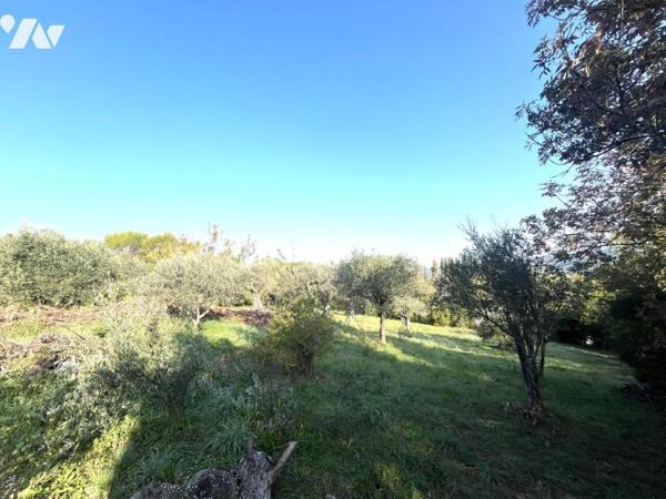 Adorable maison en pierres rénovée avec dépendance et superbe terrain