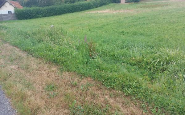 A saisir - Terrain consutructible en Dordogne -
