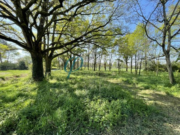 Longère 4 pièces 127 m²
