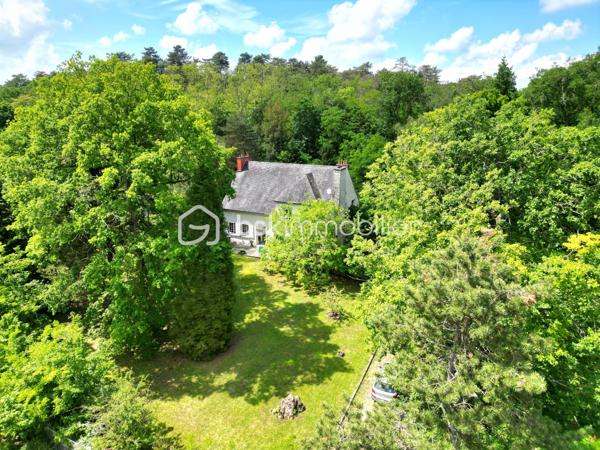 A St Pierre les Nemours, idéalement située (écoles, commerces, transports, complexe sportifs) avec un accès direct à la forêt du Rocher Gréau.
Nichée sur un terrain de 2300m², cette propriété (divisé en 2 grand appartements) est un véritable havre de paix, entourée d'une douzaine de variétés d'arbres (oranger du Mexique, Chênes, Hêtres, Châtaigniers).

Au rdc: Une grande entrée, un séjour / salle à manger lumineux, une cuisine aménagée avec un balcon donnant sur la forêt, 2 grande chambres avec balcon, un dressing, une salle de bain + douche, un WC séparé avec lave main.

A l'étage: un palier desservant un séjour / salle à manger (possibilité d'en faire 2 chambres ou une très grande), une cuisine aménagée, 2 grandes chambres, un bureau, une salle de bain, un WC séparé.

Un grand sous sol avec garage.

Maison idéale pour les amateurs de tranquillité.