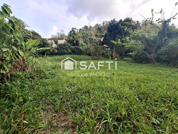 Terrain de 3 160 m² à Rivière-Pilote