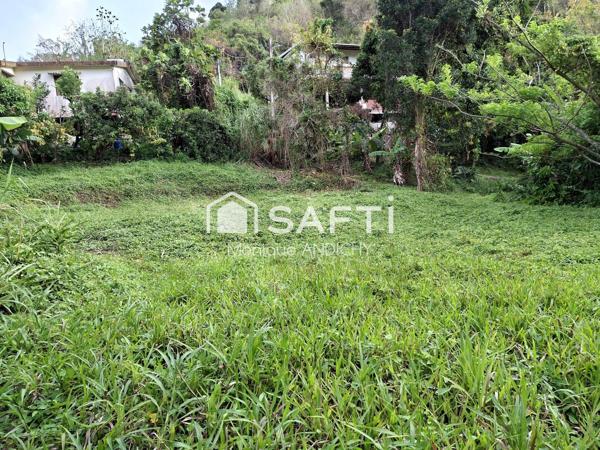 Terrain de 3 160 m² à Rivière-Pilote