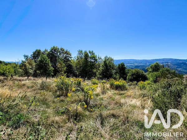Terrain à vendre 1 620 m² Job