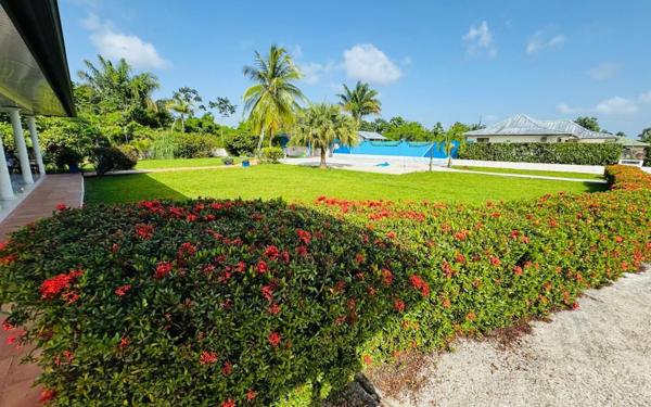 Maison à louer    4 pièces •  Matoury