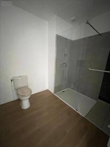 Appartement à louer à Vendôme dans le Loir-et-Cher (41100), ref : 41050-1088847