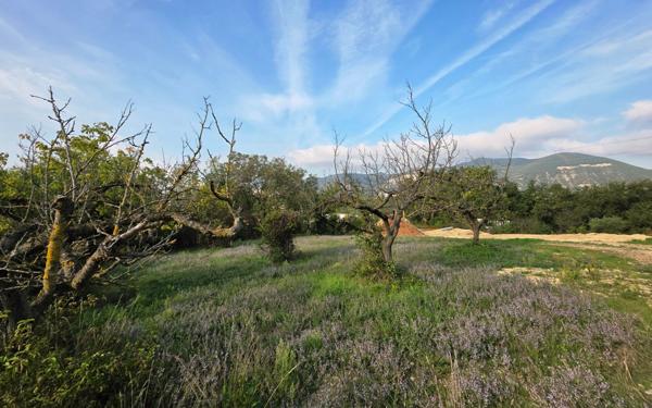 Terrain à vendre    Les Tourrettes