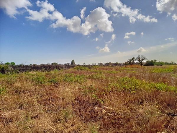 Vente / Terrain agricole