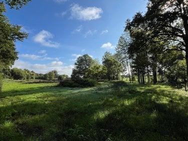 Terrain de loisirs - Bois - Etang à vendre à Saint-Christophe-du-Luat en Mayenne (53150), ref : 53078-1877