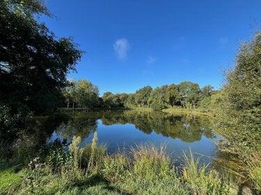 Terrain de loisirs - Bois - Etang à vendre à Saint-Christophe-du-Luat en Mayenne (53150), ref : 53078-1877