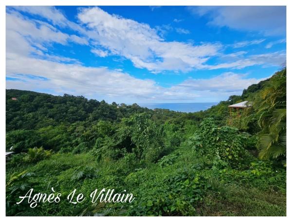 Terrain de 7 600 m2 Vue Mer
