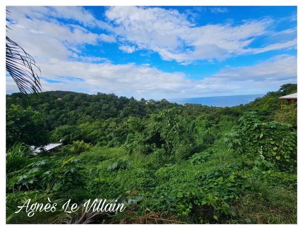 Terrain de 7 600 m2 Vue Mer