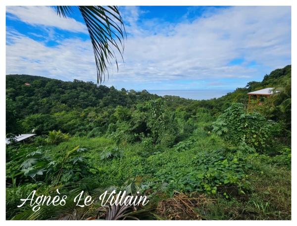 Terrain de 7 600 m2 Vue Mer