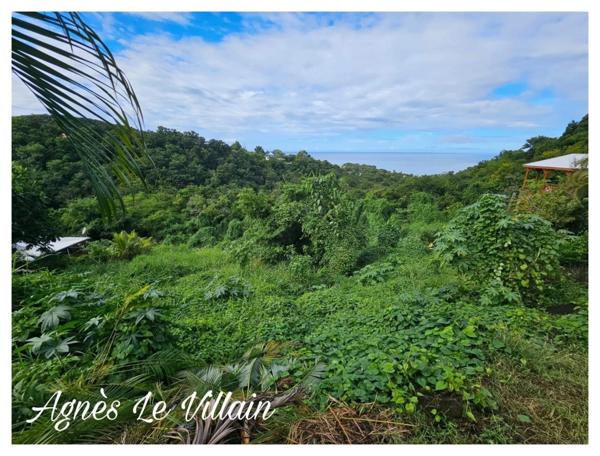 Terrain de 7 600 m2 Vue Mer