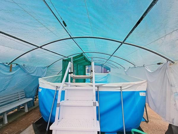 Maison  6 pièce(s) 95 m2