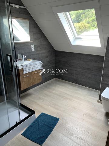 Grande maison (Immeuble) de deux appartements sur trois niveaux de 270m2 environ sur 6.21ares de terrain Lièpvre (68660)