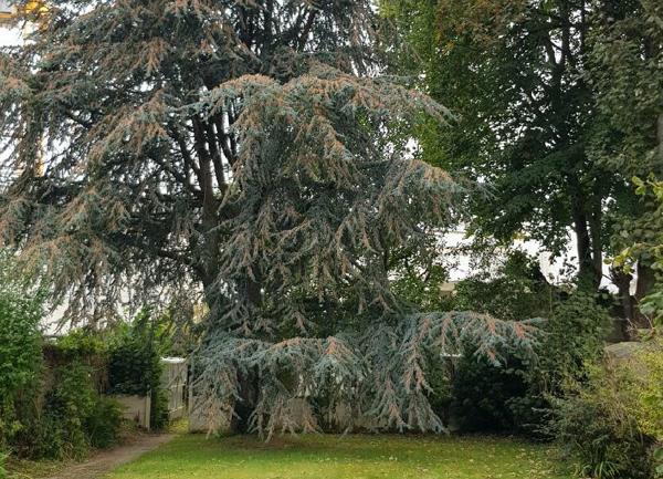 Maison à vendre    8 pièces •  Guingamp