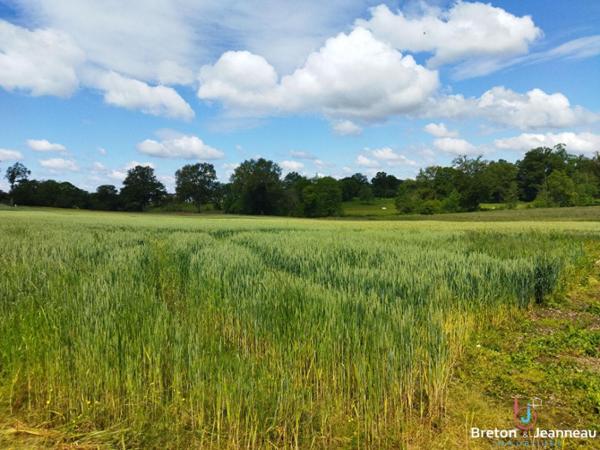Corps de ferme secteur Mayenne