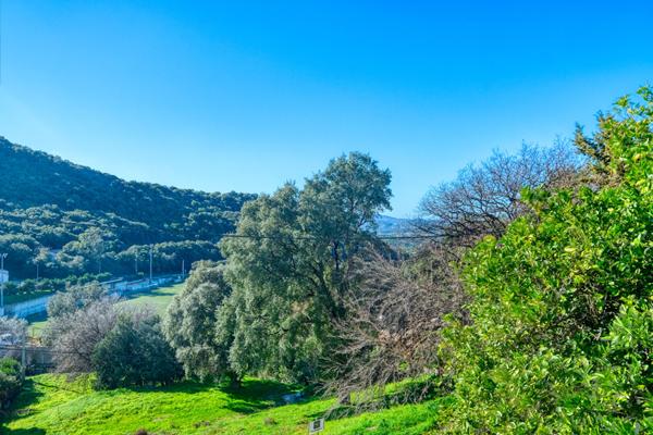 Vente Appartement 4 pièces Oletta Village