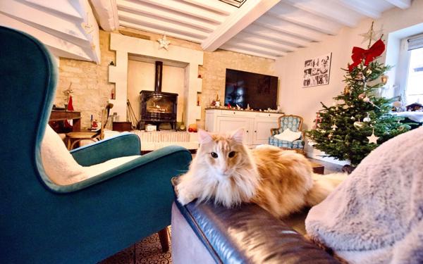 Maison à vendre    11 pièces •  Luc-sur-Mer