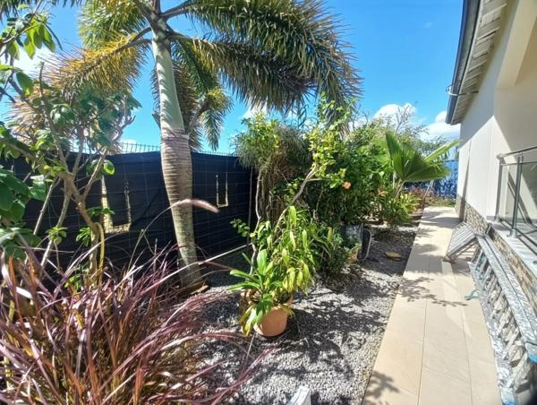 EXCLUSIVITÉ- Propriété à vendre 3 logements de plain-pied, 9 pièces SAINTE ANNE GISSAC (971)