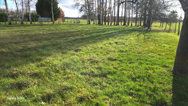 Terrain Proches des Lacs