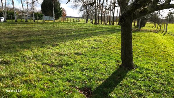 Terrain Proches des Lacs