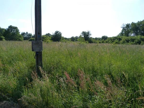 Vente Terrain 4910 m2 à Vignoux-sur-Barangeon