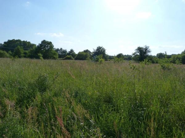 Vente Terrain 4910 m2 à Vignoux-sur-Barangeon