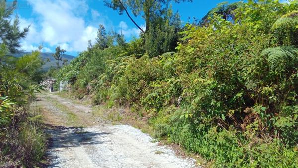 Terrain à Batir à vendre à La Plaine-des-Palmistes à la Réunion (97431), ref :