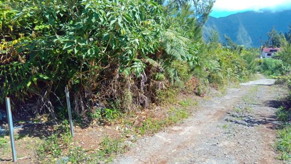 Terrain à Batir à vendre à La Plaine-des-Palmistes à la Réunion (97431), ref :