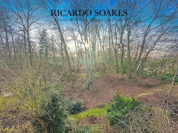 MAISON FAMILIALE 306 m2 / 5 CHAMBRES / 3 CUISINES / 3 SALONS / GARAGE DOUBLE / TERRAIN 14 580 m2