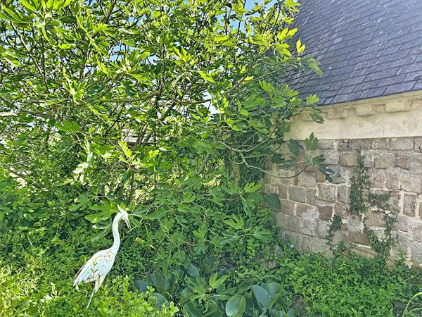À vendre - 20 min d'Angers : maison de caractère 10 pièces + dépendance de 140 m² !