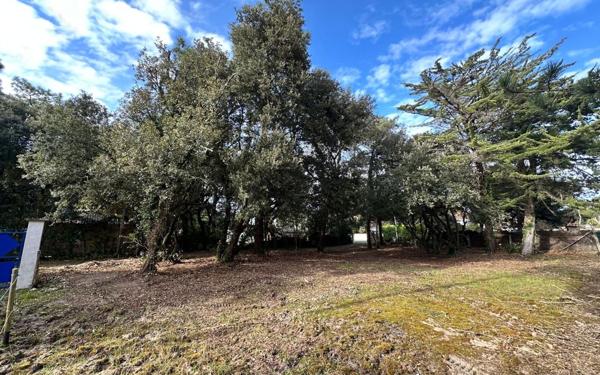 Terrain à vendre    Saint-Georges-d'Oléron