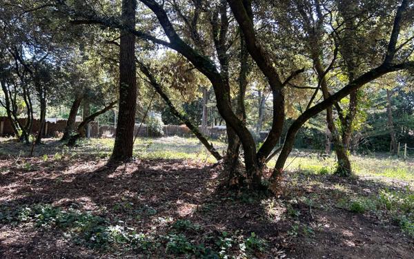 Terrain à vendre    Saint-Georges-d'Oléron