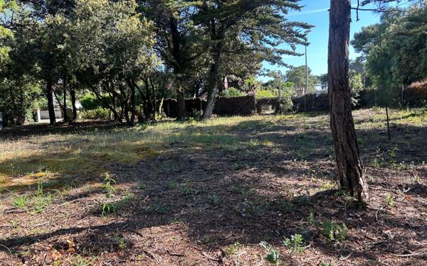 Terrain à vendre    Saint-Georges-d'Oléron